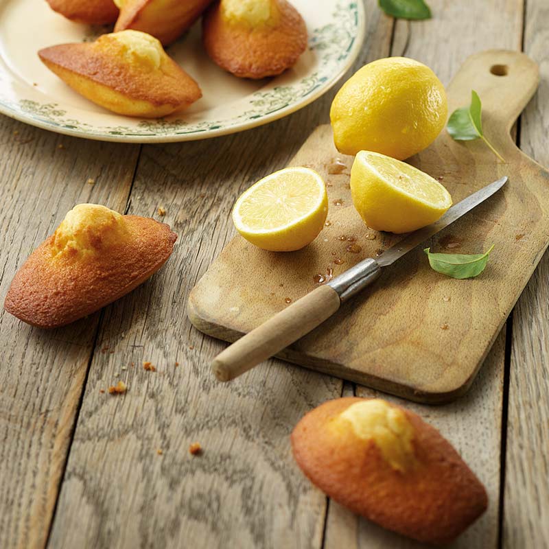 Large Pure Butter Lemon Madeleine - Traiteur de Paris
